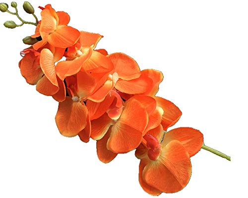 Orchidée papillon orange à 8 têtes florales pour centre de table - 3