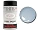 Testors Spray Enamel Paint Silver - 1246 ^