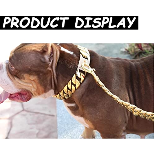 Conseils pour ajuster collier chaîne chien