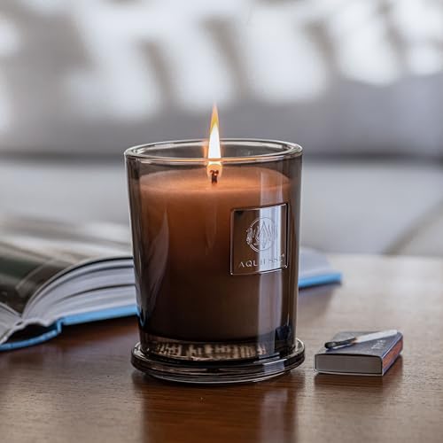 Aquiesse Cherimoya Large Scented Candle, 10oz