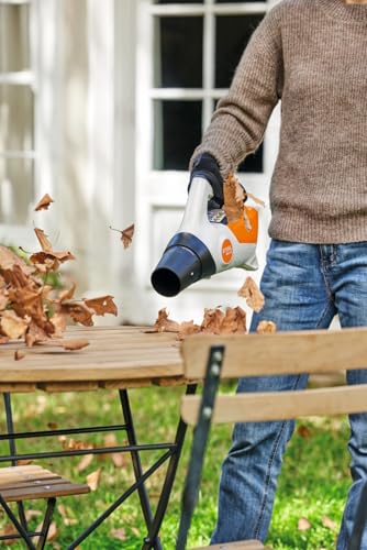 Stihl Akku-Laubbläser BGA 30 mit 2 Akkus AS2 und Ladegerät AL1