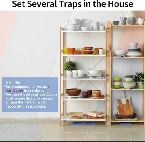 Image of LULUCATCH Mouse & Insect Traps 24 Pack, Heavier Sticky Traps with Non-Toxic Glue for Small Mice & Insects. Sticky Mouse Traps Indoor for Home, Easy to Set