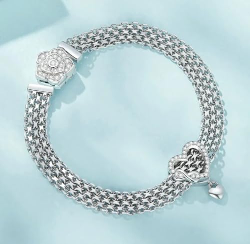 Corazón infinito clip charm plata de ley 925 compatible con pulsera de malla Reflections 2