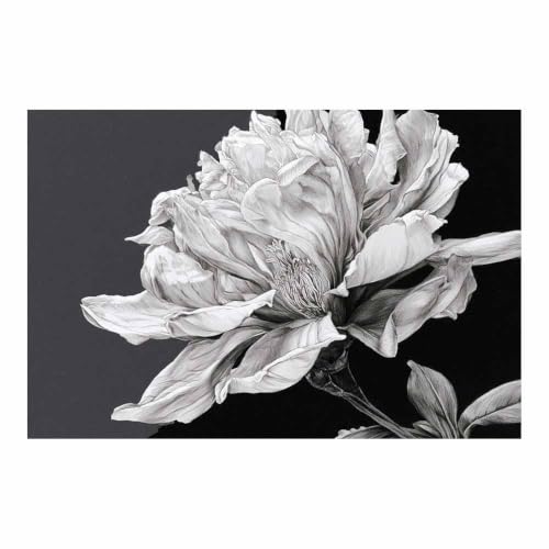 Poster noir et blanc dessin de pivoines affiche decoration grand format XENIOU