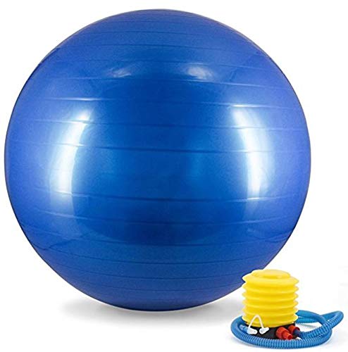 ADDCART Inflatable Gym Ball with Foot Pump for Total Body Fitness, Abdominal Toner - Diameter 65Cm (Blue) (B07W9D77DH) Amazon Price History, Amazon Price Tracker