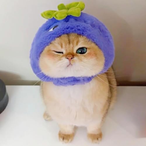 Funny Pet Clothes for Small Dog Cat Cute Soft Cartoon Fruit Shaped Pet Hood Cat Cap Puppy Hat for Halloween Easter Costume (Grape,Small)