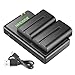Neewer NP-F550 Battery Charger Set for Sony NP F970,F750,F960,F530,F570,CCD-SC55,TR516,TR716,and More (2-Pack Replacement Battery, Dual Slot Charger)