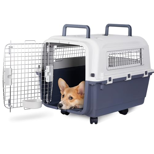 Epetlover ybgL[  N[g  ^ ^  R[M[ r[O Č ybgN[g L[P[X n[hN[g L[obO  p  V @ qA{bNX ^ t vX