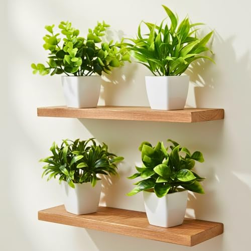 Image of DecoreBugs Artificial Potted Plants in Plastic Pot (4 Pack) Eucalyptus Plants Small Plants for Home Decor | Office Decor