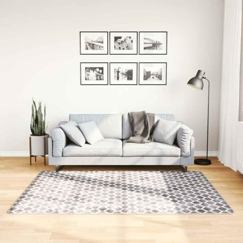 Tapis lavable en machine antidérapant pour salon et chambre