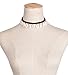 Honbay Natural Shell Cowry Clavicle Necklace, Seashell Drop Short Necklace Choker for Women