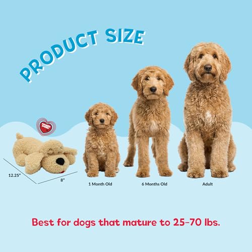 Image of Snuggle Puppy Heartbeat Toy, Calming Comfort, Breed Buddies Goldendoodle | Calming for Goldendoodles and Poodle mixes; crate training comfort, heat pack, new puppy essentials, first nights