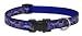 Lupine 3/4-Inch Starry Night 13-22-Inch Adjustable Collar for Medium to Large Dogs