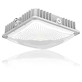 LED 75W Canopy Light Outdoor, Super Bright 5000K Daylight 9750LM IP65 Waterproof Outdoor Carport Ceiling Light, AC100-277V for Commercial Canopy Lights, Gas Station, Garage, Shop Lighting(1 Pack)