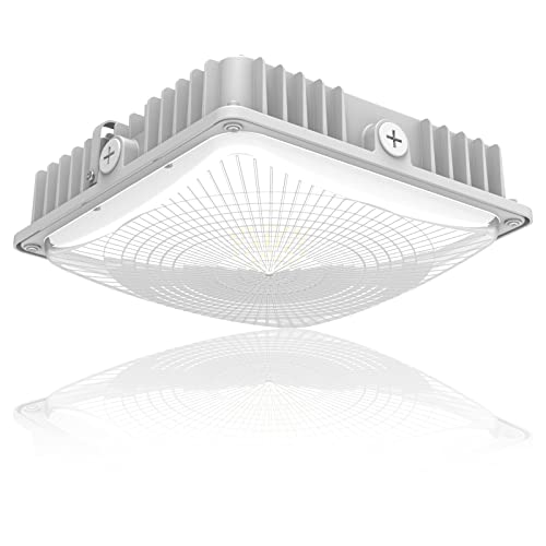 LED 75W Canopy Light Outdoor, Super Bright 5000K Daylight 9750LM IP65 Waterproof Outdoor Carport Ceiling Light, AC100-277V for Commercial Canopy Lights, Gas Station, Garage, Shop Lighting(1 Pack) by YDX LIGHT - Used condition - US$45.01