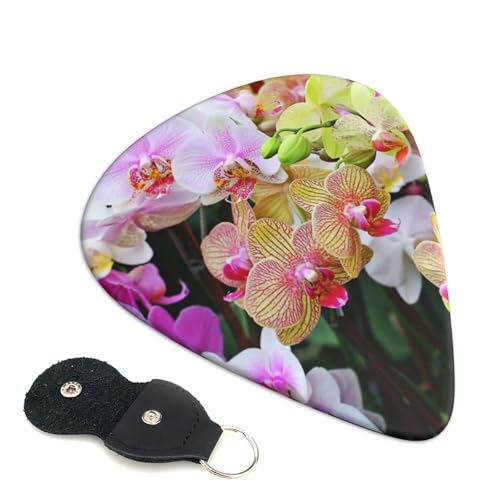 ̃vg 킢GLM^[sbN Ajt@bVy S҃gCAOsbN 6 Zbg 0.71mm