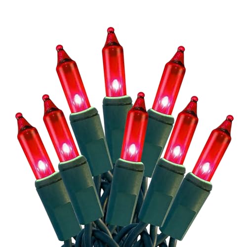 HISHINY Christmas Lights 100 Count Red Christmas Tree String Lights with Green Wire for Outdoor Indoor Christmas Decorations Wedding Decorations Valentines Day Decor UL Certified (21feet)