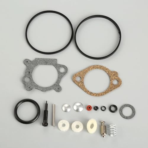 Kit Joint Carburateur Briggs & Stratton 498260 : Redémarrez Facilement Votre Tondeuse