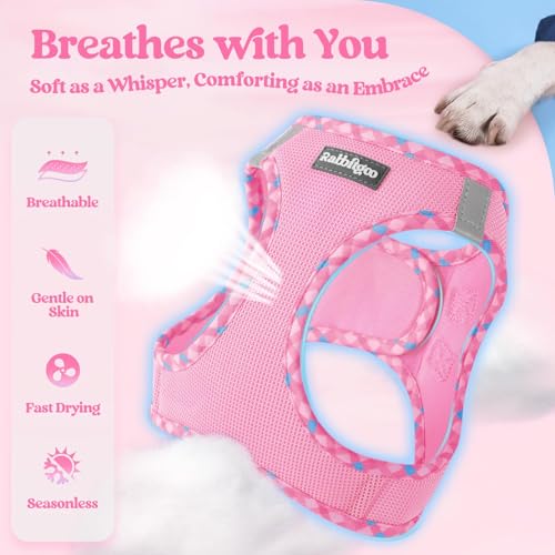 Image of rabbitgoo Dog Harness Small Sized and Leash Set, Step-in Puppy Pet Vest