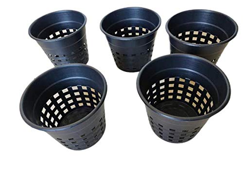 Subhiksha Plastic Orchid/Hydroponics Plant Pot, 6.5 Inch (Black) - Set of 5 Pieces (B08NXRW36P) Amazon Price History, Amazon Price Tracker