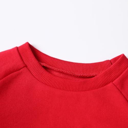 DEFAHN Toddler Baby Pullover Sweatshirt,Long Sleeve Infant Boy Girl Crewneck Active Tshirts 6 Month-3Y4