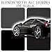 Car Gods Iris Custom Color Black 3-in-1 Polish Wax Color Restorer & Scratch Remover, 16 Colors Available, 17 Fl Oz