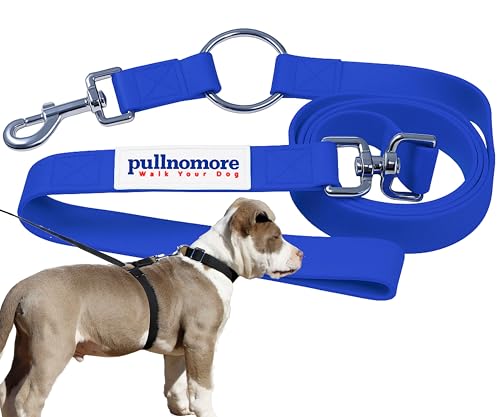 No-Pull Dog Leash, Chew Resistant, Waterproof, Durable PVC Material, Multiple Colors and Sizes (Blue, Small)