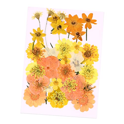 Kit artesanal LIFKOME 40 piezas flores secas para decoración
