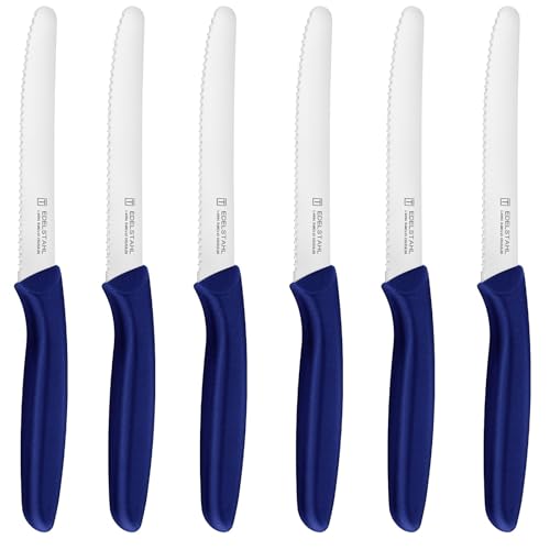targzier Frühstücksmesser 6 Stück,Blaues Buttermesser aus Edelstahl,Tafelmesser - Küchenmesser - Brotmesser - Tomatenmesser,Scharfes Tischmesser mit Wellenschliff,Spülmaschinenfest.