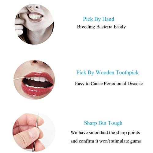 Tandenstokerhouder met 2 Stuks Titanium Tandenstokers, Herbruikbare Voedselfruitplectrums voor Campingpicknick - Afbeelding 6