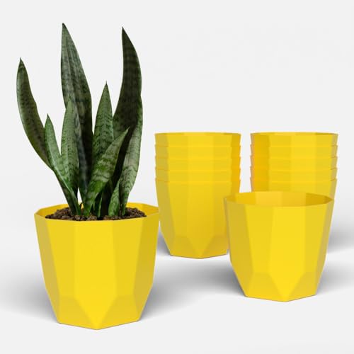 Image of YUCCABE ITALIA SHERA Hexa Plastic Planter Pot for Plants | Decorative Flower Pot | UV Protected Lightweight Indoor Outdoor Gamla for Home Decor, Balcony, Garden & Living Room