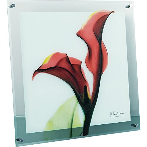 ユーパワー 植物 花 レッド W36×H36×D2cm