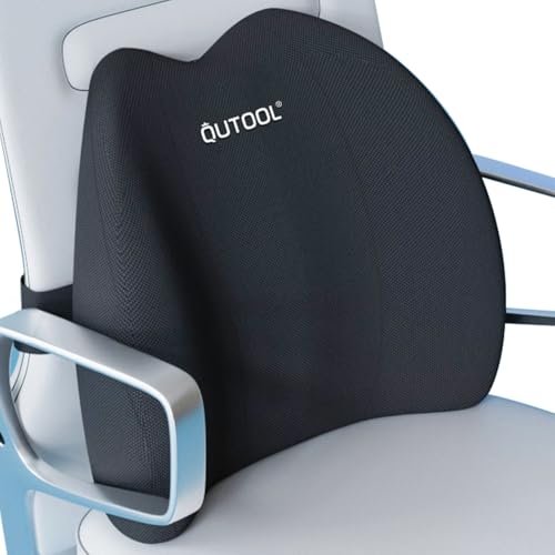 QUTOOL Memory Foam Lumbar Pillow