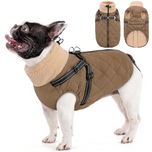 Queenmore Dog Jacket with Built-in Harness