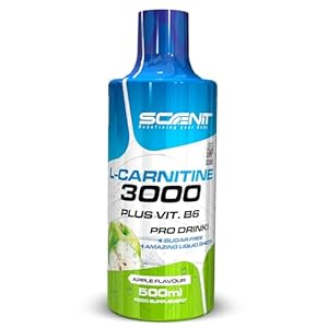 L Carnitine 3000 – L Carnitine – L-Carnitine – L Carnitine Liquide – Carnitine Liquide – LCarnitine – Carnitine Pure – L-Carnitine Liquide – 500 ml (Pomme)