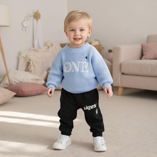 Baby Boy Girl 1st Birthday Outfit One Silly Goose Chunky Knit Sweater Knitted Shirt Sweatshirt Fall Winter Clothes3