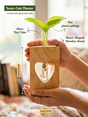 Image of Bombay Greens Planter with Heart Decor | Test Tube Indoor Planter Stand | Wooden Planter for Home Decor, Living Room, Balcony & Office Decoration