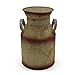 CVHOMEDECO. Old Country galwanizowany metalowy pojemnik na mleko, rustykalny prymitywny dzbanek do dekoracji domu i ogrodu, wys. 25,4 cm