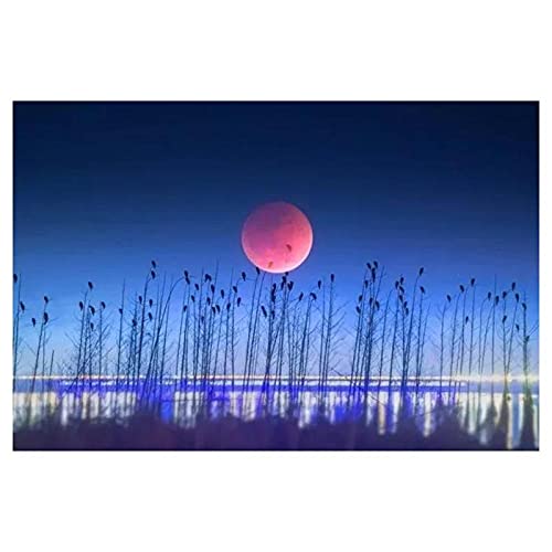 Diamond painting lune kit complet carré rond grand format 80x220cm pour broderie diamant mosaic