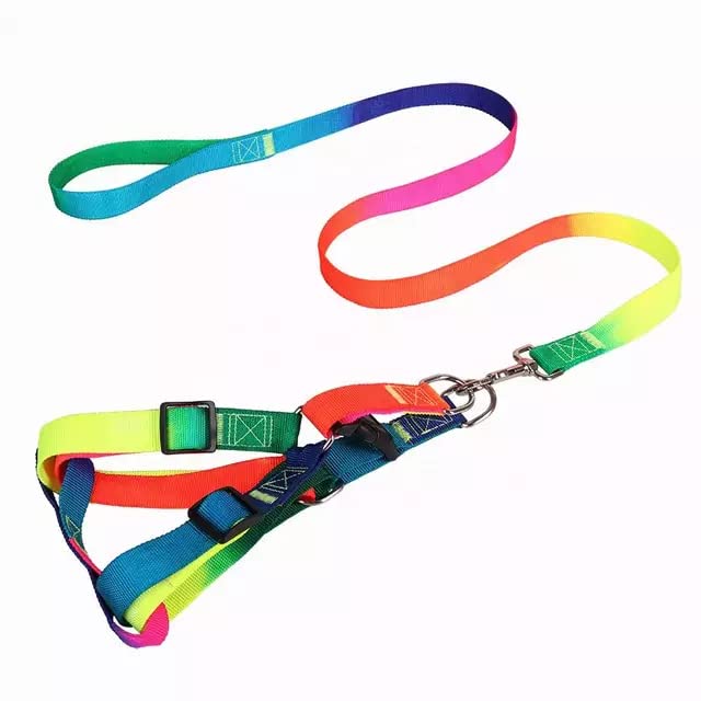 Petlicious & More® Rainbow Design 25mm Small & Medium Dogs Harness & Leash Set for Medium Adjustable Chest Size 38-48cm (Size - Medium, Design - Rainbow) (B09SY676YZ) Amazon Price History, Amazon Price Tracker