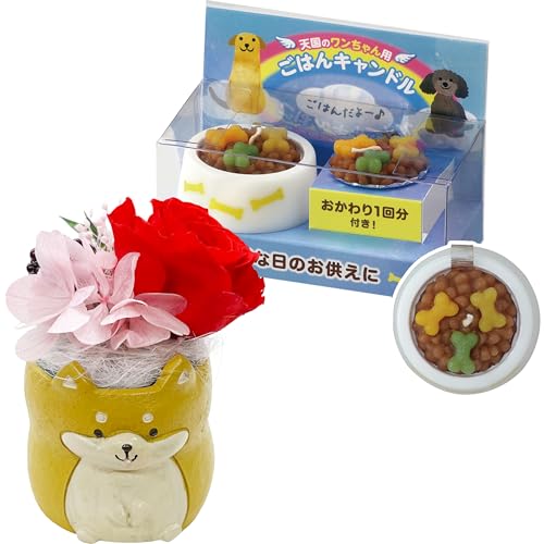 Ԃ̃Mtg  ybg ͂   vU[uht[   ybgp