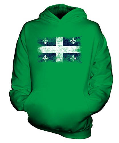 Sweat-shirt à capuche enfant Québec délavé unisexe pull coton garçon fille