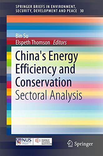 Buy China's Energy Efficiency and Conservation — BookShops.in