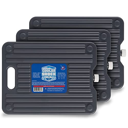 Our Best Cooler To Keep Food Frozen [Top 10 Picks] BNB