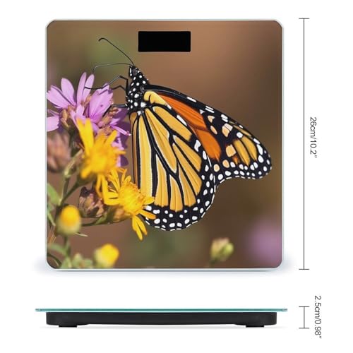 Báscula digital de baño con mariposa Monarch miniatura 2