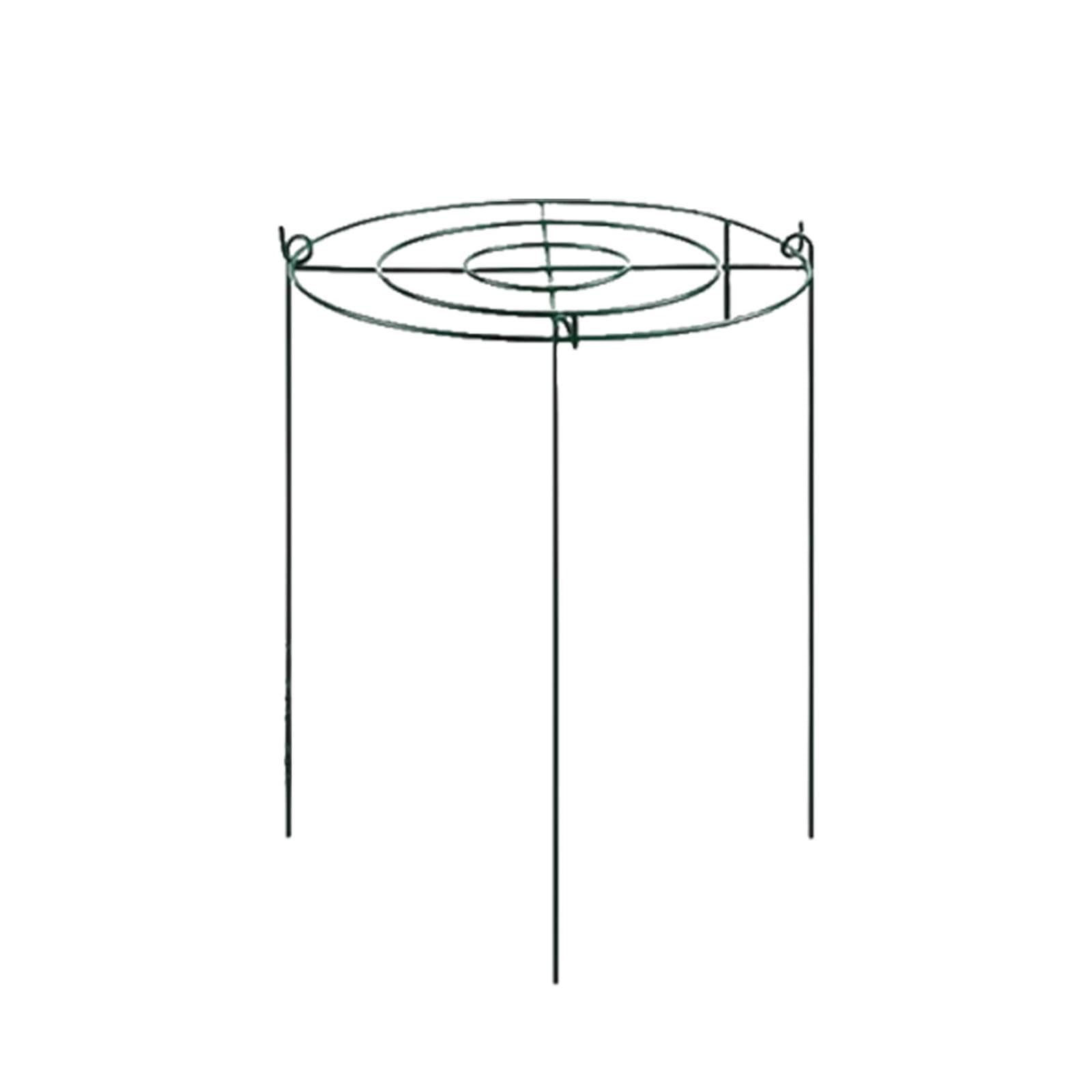 Tuteurs Annulaires pour Plantes Grimpantes, Poteaux Métalliques pour, Fraisiers, Plantes D'extérieur, Orchidées, Tomates, 35 Cmx60 Cm