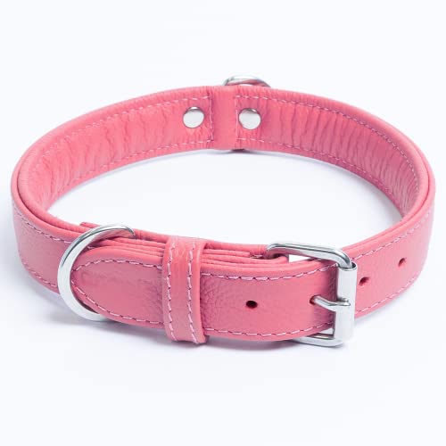 Angel Pet Supplies Inc. Alpine Plain Dog Collar By Angel. 22" X 1", Bubblegum Pink, 41032 #TOP2