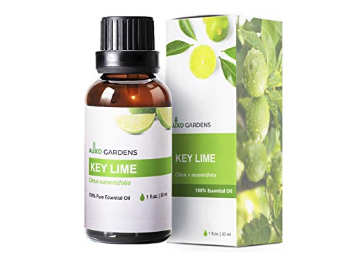 Aceite Esencial de Lima Key Lime 30ml Puro miniatura 1