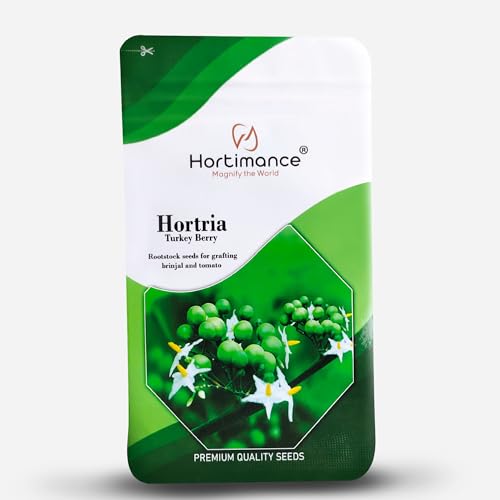 Image of Hortria Turkey berry seeds used for grafting brinjal and tomato, 10 grams, Contains 10000 seeds.