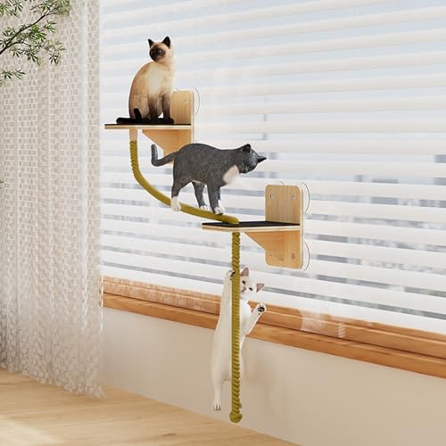 Jouet à gratter pour chat robuste en bois afin de protéger vos meubles des griffes
